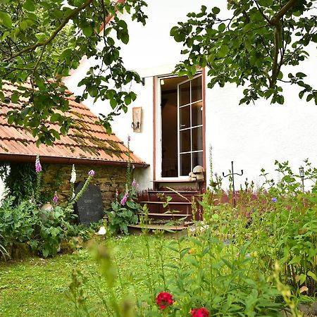 Ferienwohnung Axcher Hof Weitersborn Ngoại thất bức ảnh